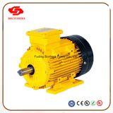 Ms Series Three Phase Crane Motor