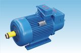 High Torque Crane Motor for Elevator/Lifting Machine
