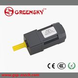 3W 1pH110 Micro AC Gear Motor