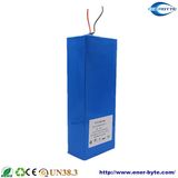 48V 15ah Lithium Battery for Electric Bicycle