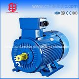 Ie2/Ie3 High Efficiencey Three Phase Electric Induction Motor