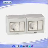 IP55 2 Gang Switch and 2 Gang Germany Socket Waterproof Wall Switch Socket