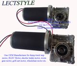 63zy 100W 60rpm 24V DC Worm Gear Motor