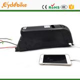 36V 14.5ah Panasonic Cell Lithium Battery for Electric Fat Bike