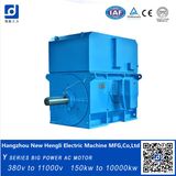 Big Squirrel Cage IP44 2000kw 1000rpm AC Motor