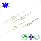 Rx27-1 5W Wire Wound Ceramic Resistors