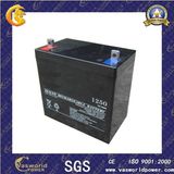 12V 50ah Lead Acid Battery Passed by Ce/ISO