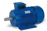 Three Phase Asynchronous Induction Electric Motor (Y2)