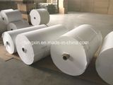 Fiberglass AGM Separator for Valve Controlled Sealed Lead Acid Battery