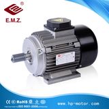 Ye3 /Ie3 Series Premium Efficiency Three Phase Induction Electric Motor