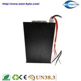 LiFePO4 Battery Pack 48V 60ah for Electric Vehicles