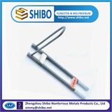 Famed Metatypical Shape Mosi2 Rod Heater