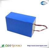 24V 10ah Lithium Battery for E-Bike/ E-Scooter/E-Motorcycle/ Power Chairs