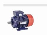 2015 New Item High Quality Electric Motor (MT003)