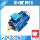 Y2 Series IEC Standard 415V B5 Induction Motor for Sale
