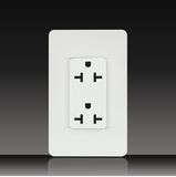 20A Receptacle with Plate (LGL-11-12)