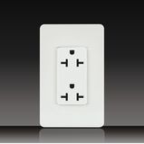 20A Receptacle with Plate (LGL-11-12)