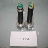 Plastic Insulation Control Cable
