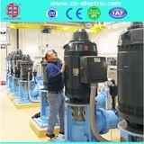 Vertical Hollow Shaft Motor for Deep Well Pump