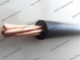 UL83 Certificated 12AWG 14AWG 10AWG Cu/PVC/Nylon Thhn Wire for Building