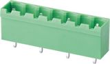 Double Pitch Plug-in Terminal Block Connector (WJ2EDGVC-10.0)