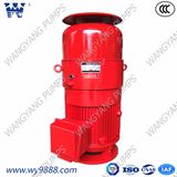 IP54 Series Vertical Hollow-Shaft Asynchronous Motor for Vertical Turbine Pump