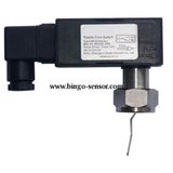 Paddle Type Flow Switch G1'' Size