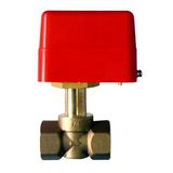 Brass Material Paddle Type Flow Switch