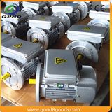 Ml 1kw Induction Motor