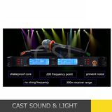 True Diversity UHF 2 Channel Karaoke Wireless Microphone (CSL-TD880D)