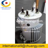 Manufacturer 300va/600va, Current Transformer, Pole Transformer with UL Ce