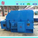 Yr/Yrkk Big High Voltage Induction Motor