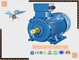 Y3 Series Three-Phase Induction Motor