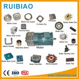 Lifting Hoist Motor, DC Worm Gear Motor