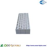 LiFePO4 Battery Pack 48V 150ah