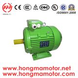 Ie3 Premium Efficiency Electric Motor