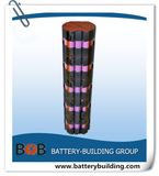 450W Motor 48V 10ah Bottle Lithium Battery Pack for E-Bike