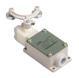 Double Roller Lever Limit Switch with Automatic Reset (LX19-212)