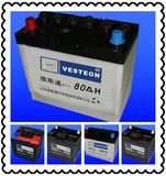 OEM Auto Battery