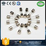 Made in China Cheap Glass Tube Fuse Current Limiting Fuse Glass Fuse Transparent Glass Tube Fuse
