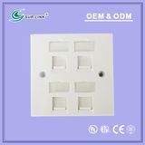 86 Type 4 Port Faceplate