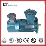 Cast Iron Frame Asynchronous Motor with Variable Frequency Drive
