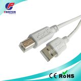 Type a to Type B Printe Cable USB 2.0 Cable