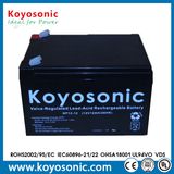 12V 12ah Maintenance Free UPS Battery with UL Ce Certifications