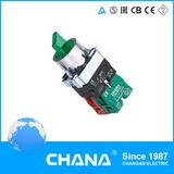 Pushbutton Switch with Knob Lamp 6V-380V CB2-Bk2365