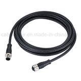 M12 12pin Male to Female Straight Molded Cable Connector for Sensor and Actuator with Ce Certification