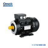 Ms Series Three-Phase Induction Motor