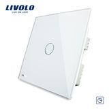 Livolo Spot Lamp Timetouch Screen Wall Light Timer Switch (VL-C301T-61)