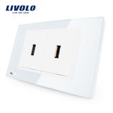 Livolo China Manufacturer Quality Computer Wall Two USB Socket (VL-C392U-81/82)