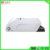 Economical E-Bike Battery 48 Volt Lithium Battery Pack with BMS